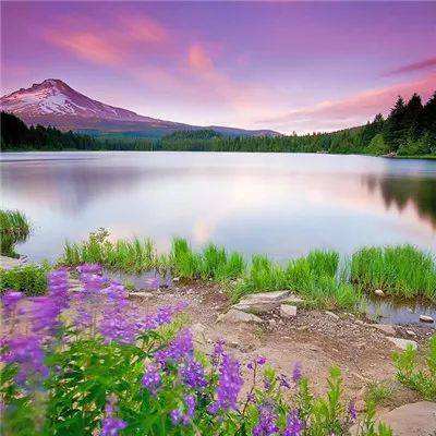 永乐国际app下载